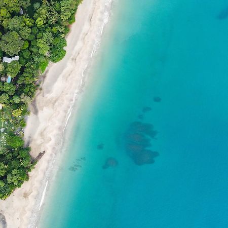Le Cameleon Boutique Hotel Puerto Viejo de Talamanca Eksteriør billede
