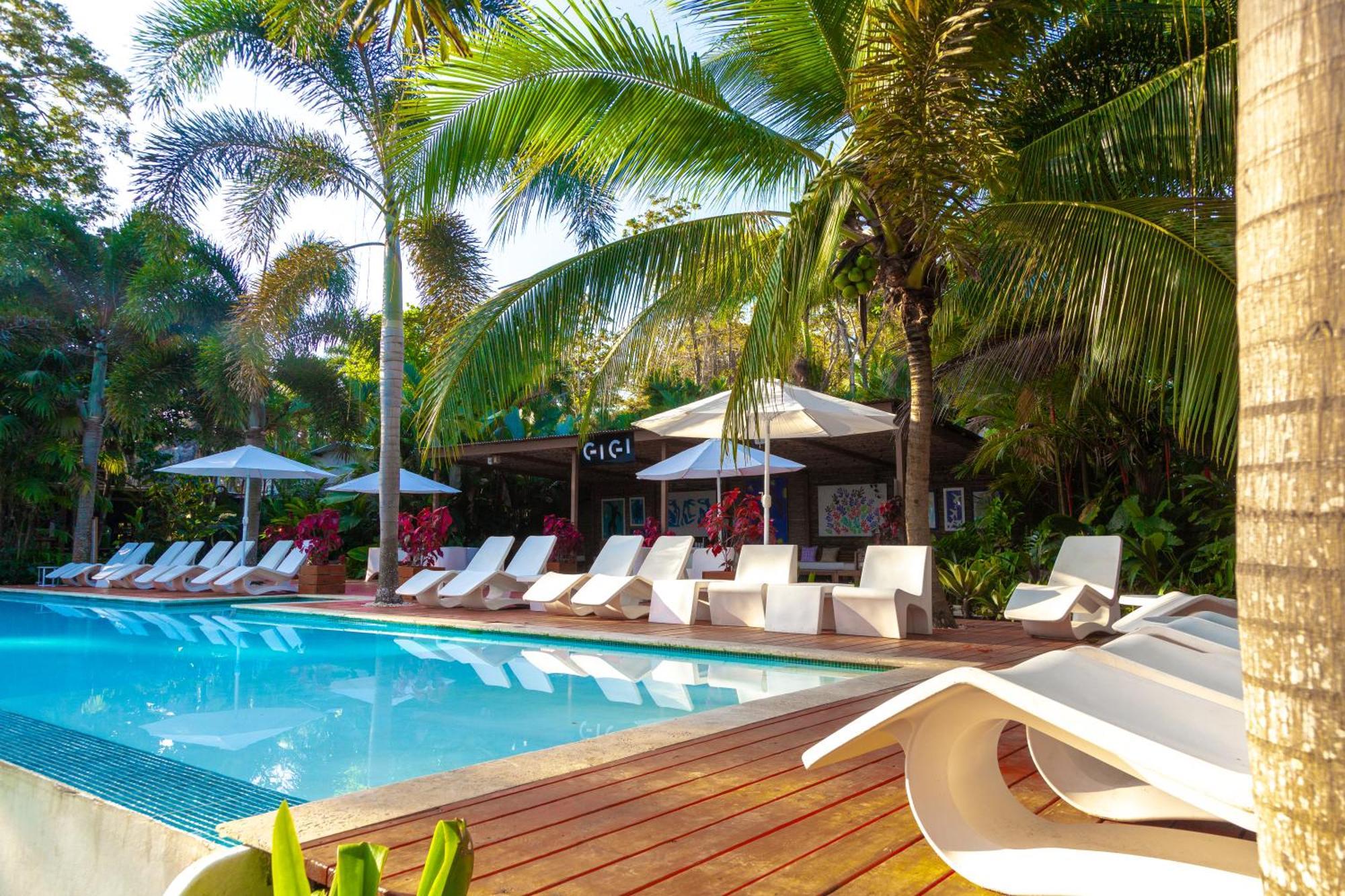 Le Cameleon Boutique Hotel Puerto Viejo de Talamanca Eksteriør billede